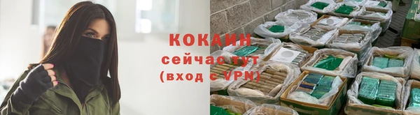прущая мука Бородино