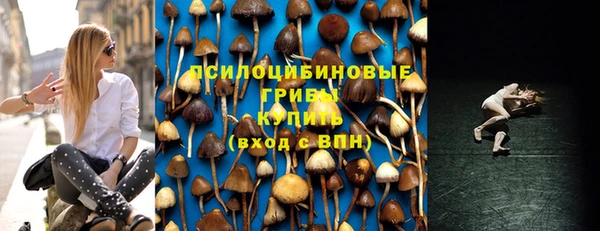 прущая мука Бородино